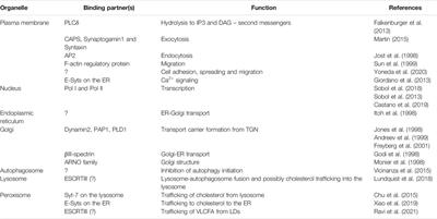 Crucial Players for Inter-Organelle Communication: PI5P4Ks and Their Lipid Product PI-4,5-P2 Come to the Surface